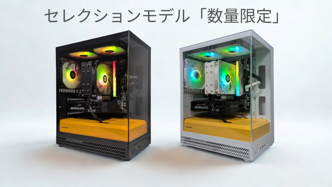 【数量限定・一期一会】お任せで選べて、驚きの安さ。「セレクションモデル」の秘密