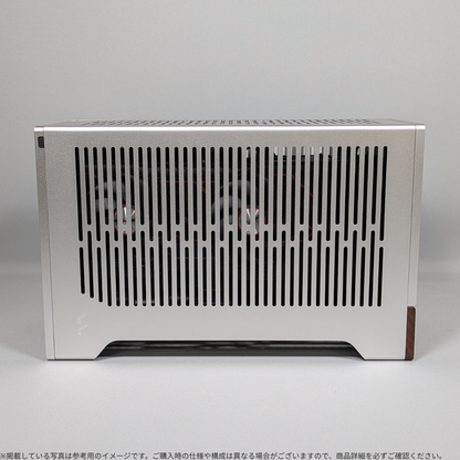 F-Terra-Silver-アドバンス